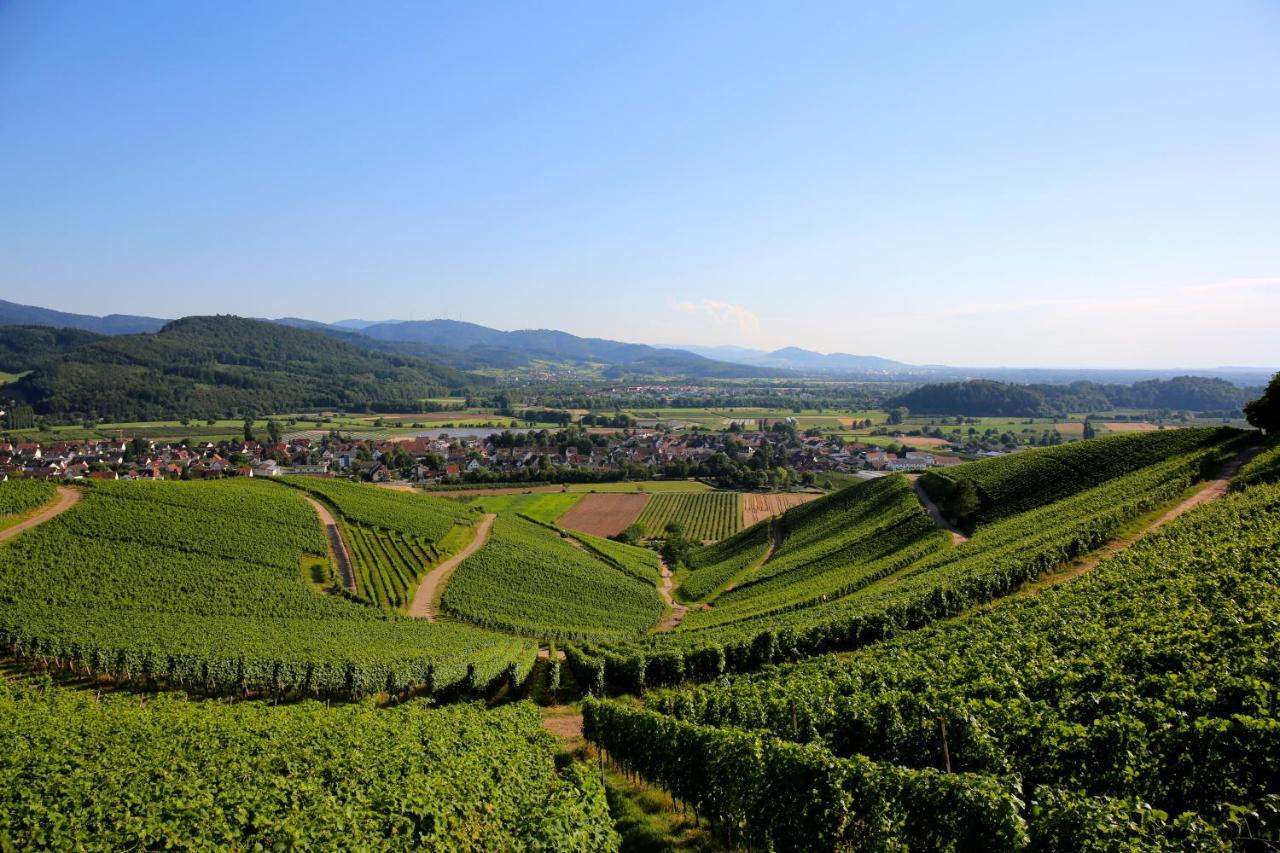 Annas Stube - Boutique Design Bauernhof Villa Waldkirch Dış mekan fotoğraf